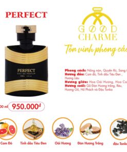 Nước Hoa Nam Good Charme Perfect 100ml - 8936194691903